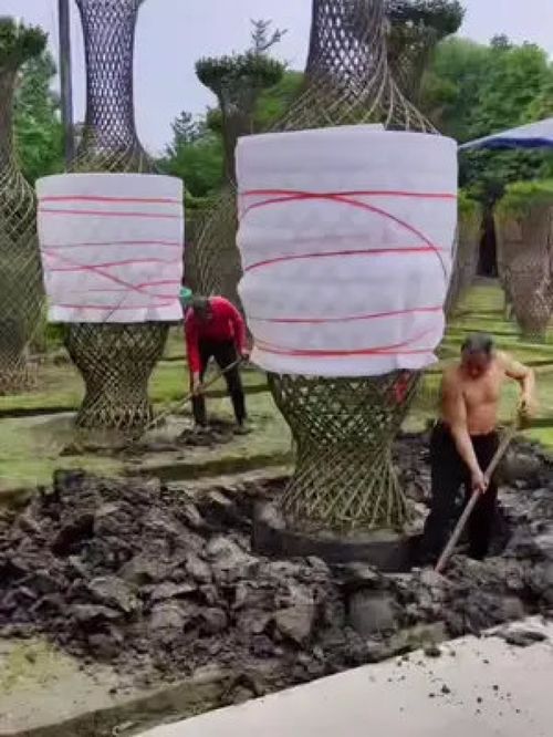 巨無霸紫薇造型樹震撼登場，金牌苗木人誠信供應精品綠化苗木